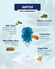 NoFOG Anti-Hangover Gummies